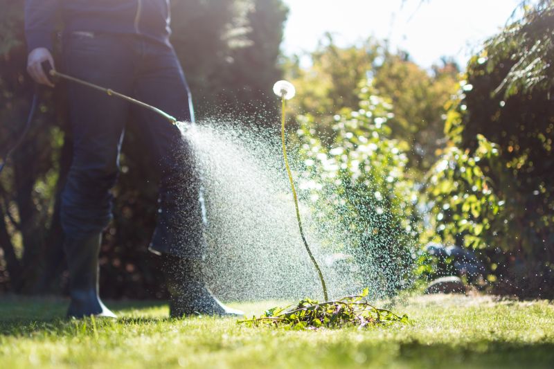 Weed Spraying in Honolulu, HI