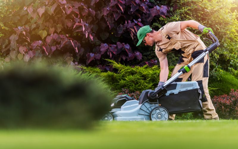 Lawn Maintenance And Mowing