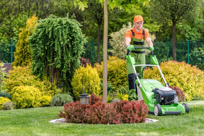 Lawn Maintenance And Mowing