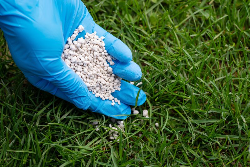 Commercial Lawn Care