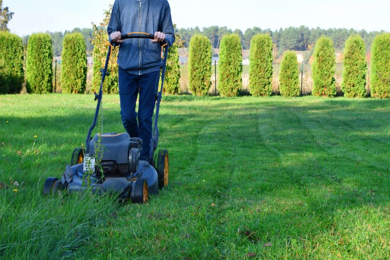 Commercial Lawn Mowing