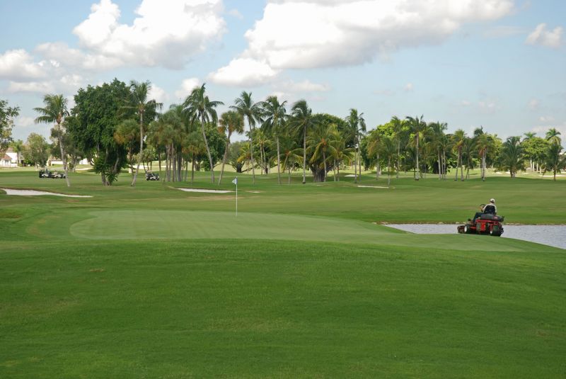 Lawn Maintenance And Mowing