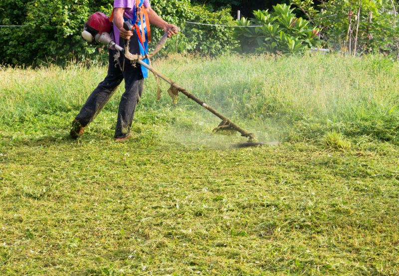 Crabgrass Removal in Ventura County, CA