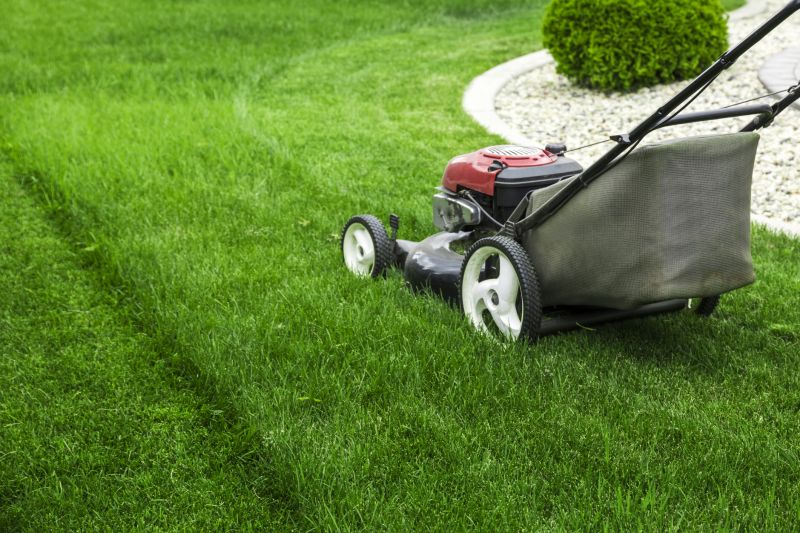 Lawn Maintenance And Mowing detail