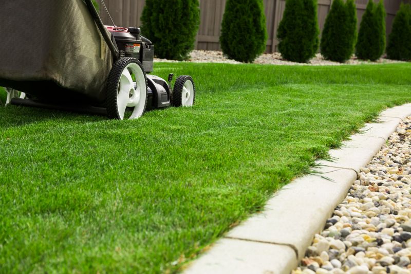 Lawn Maintenance And Mowing detail