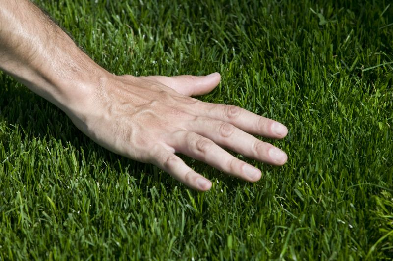 Grass Mowing