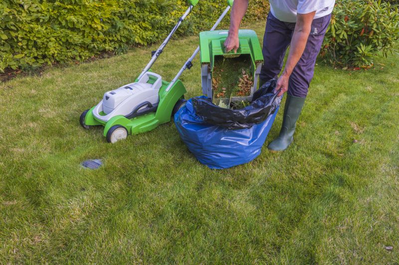 Lawn Cutting Service