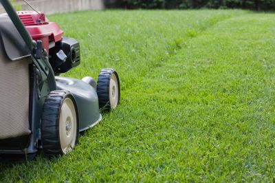 Lawn Cutting Service