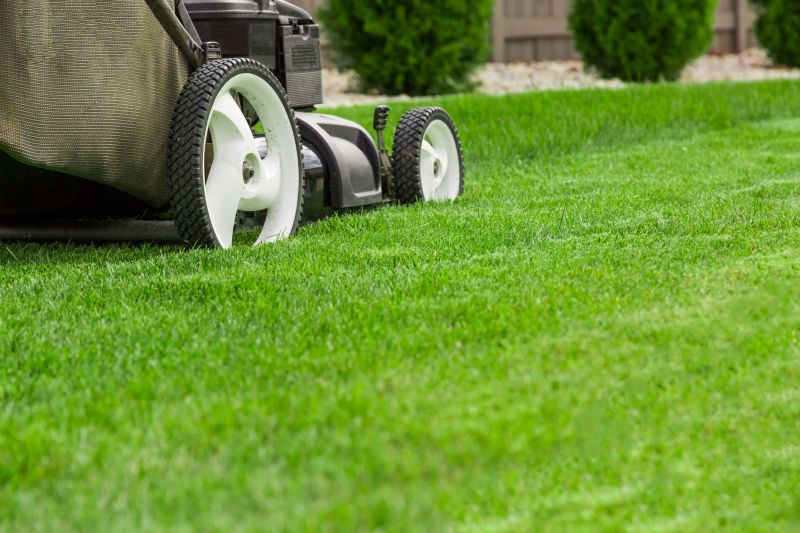 Lawn Cutting Service