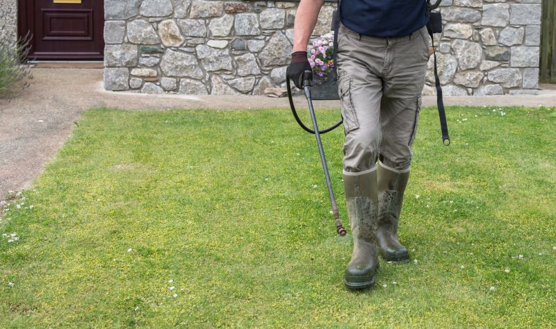 Lawn Herbicide Treatment in Aiken, SC