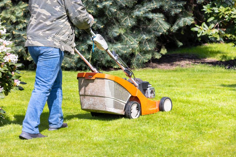 Lawn Maintenance And Mowing