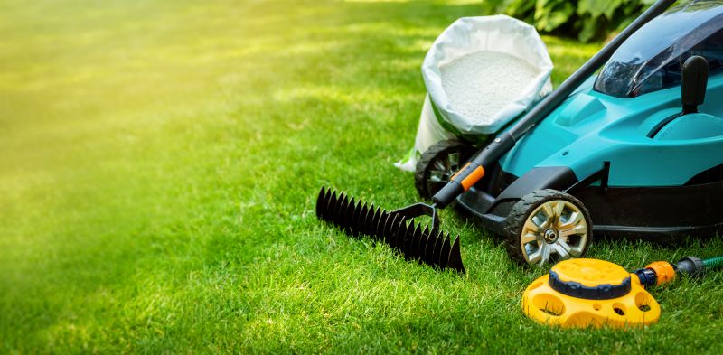 Lawn Maintenance And Mowing