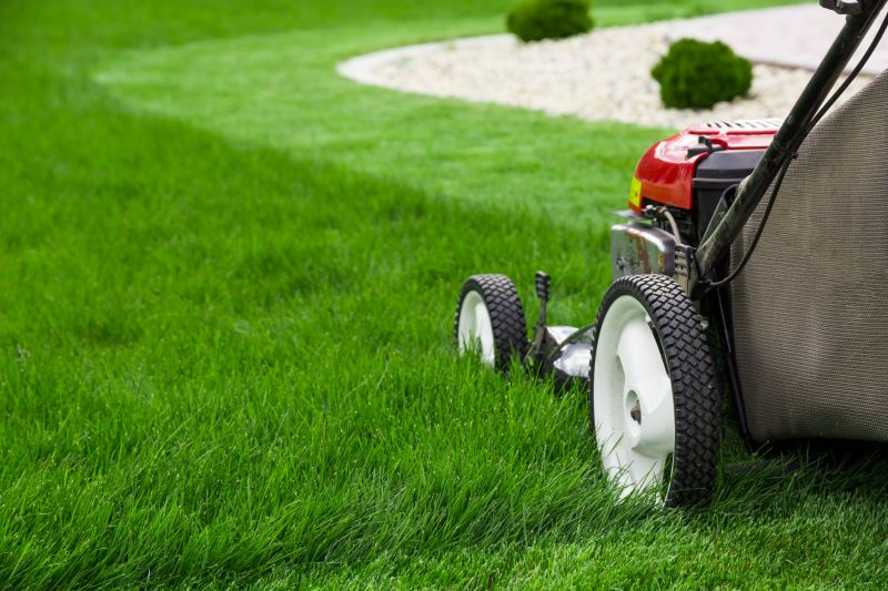 Lawn Maintenance And Mowing