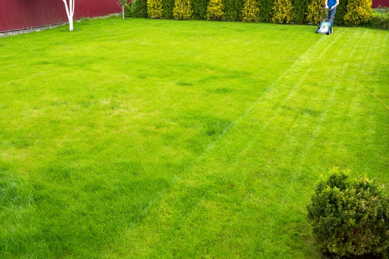 Lawn Maintenance And Mowing