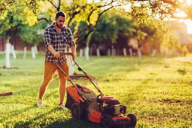 Lawn Maintenance