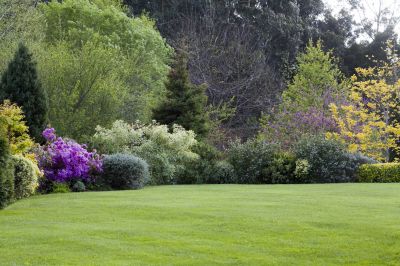 Lawn Maintenance