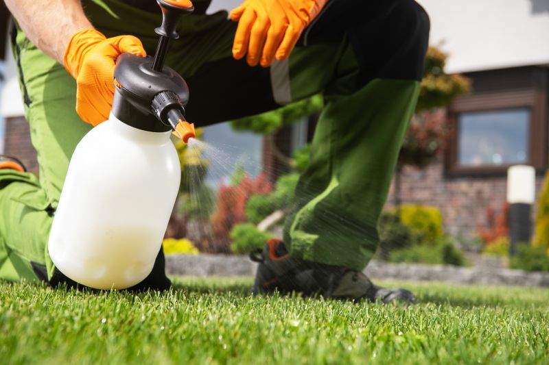 Lawn Moss Control in Honolulu, HI