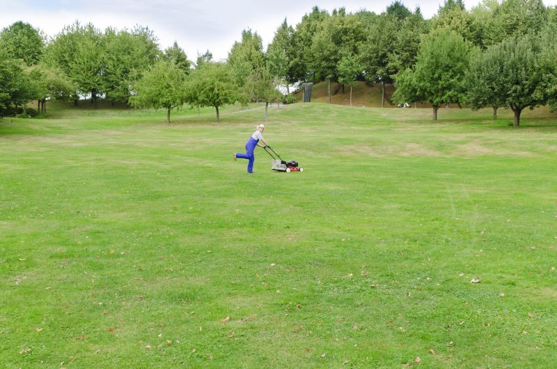 Lawn Mowing