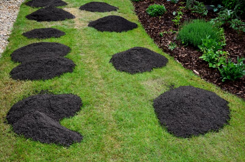 Lawn Topdressing in Honolulu, HI