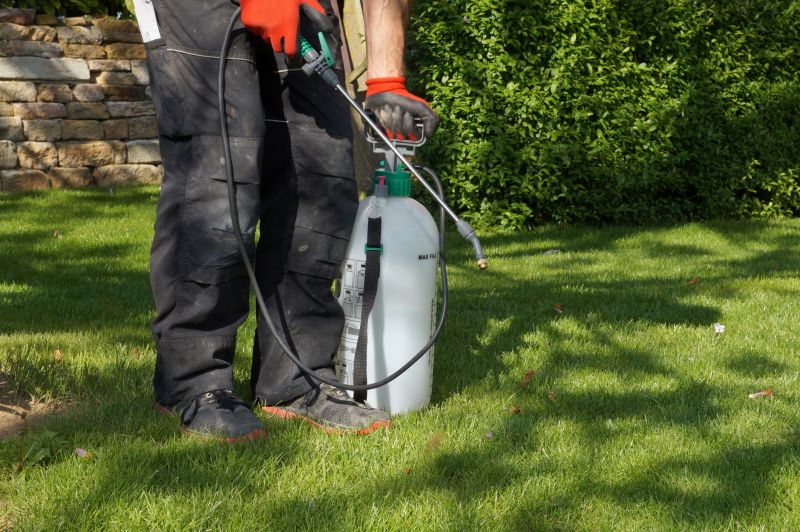 Lawn Weed Spraying in Ventura County, CA