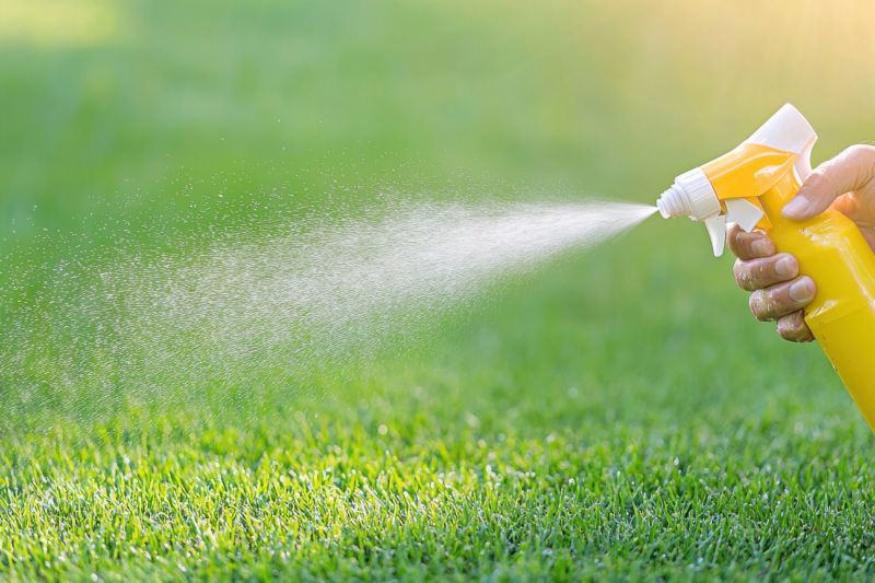 Lawn Weed Spraying in Ventura County, CA