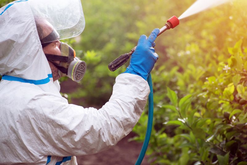 Lawn Weed Treatment in Rockwall, TX