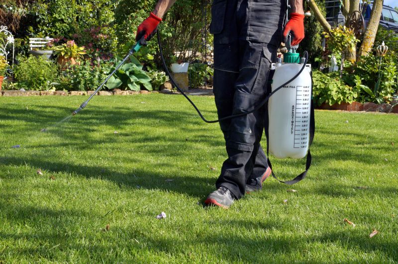 Pampas Grass Control in Rockwall, TX