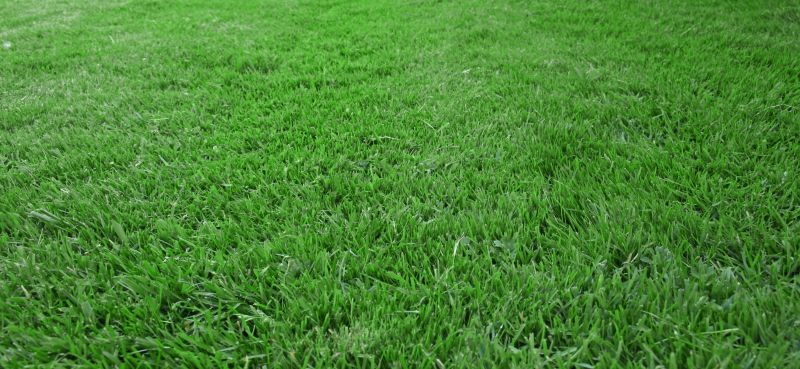 Residential Lawn Care