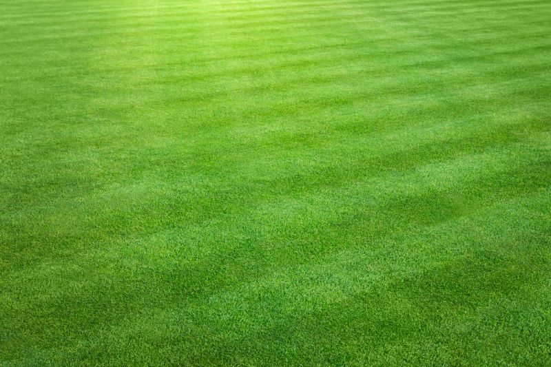 Residential Lawn Care