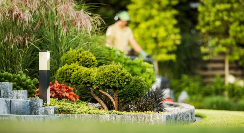 Residential Lawn Care