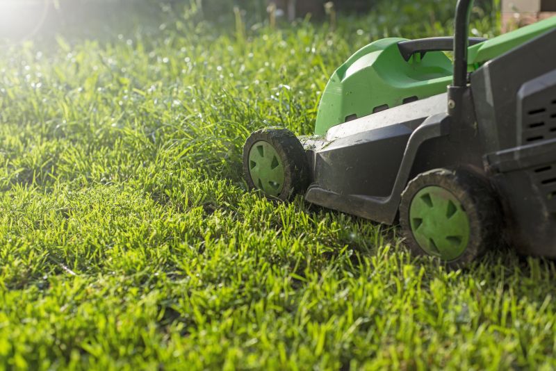 Residential Lawn Mowing