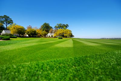 Residential Lawn Mowing