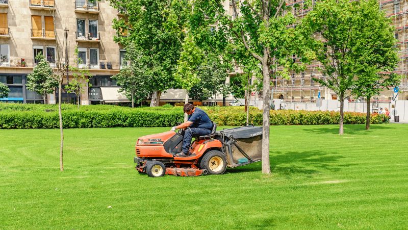 Residential Lawn Mowing