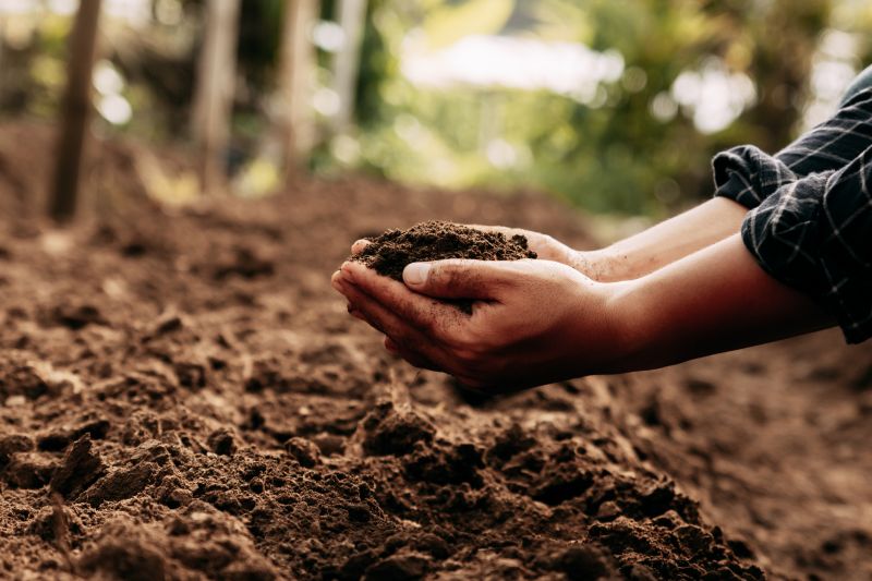 Soil Topdressing in Honolulu, HI