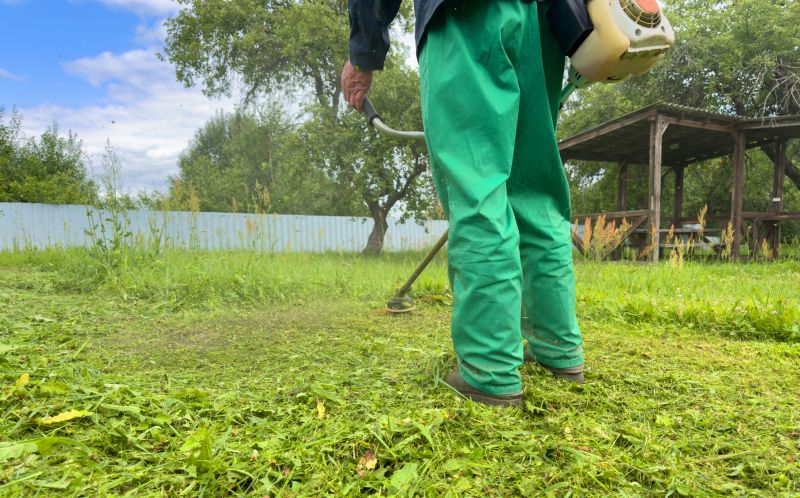 Weed Prevention Service in Aiken, SC