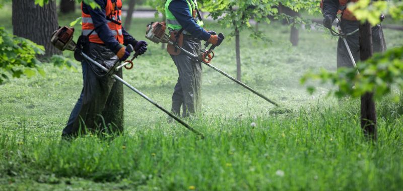 Weed Whacking