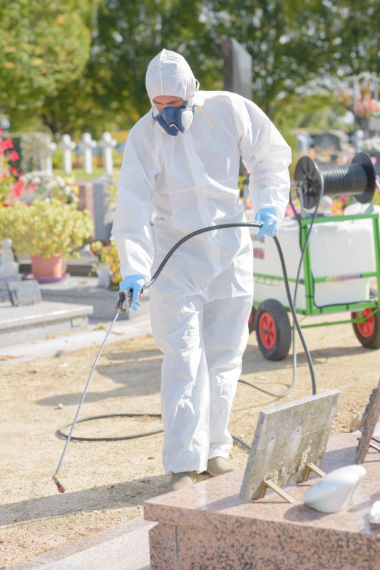 Weed Whacking