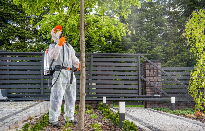 Weed Whacking