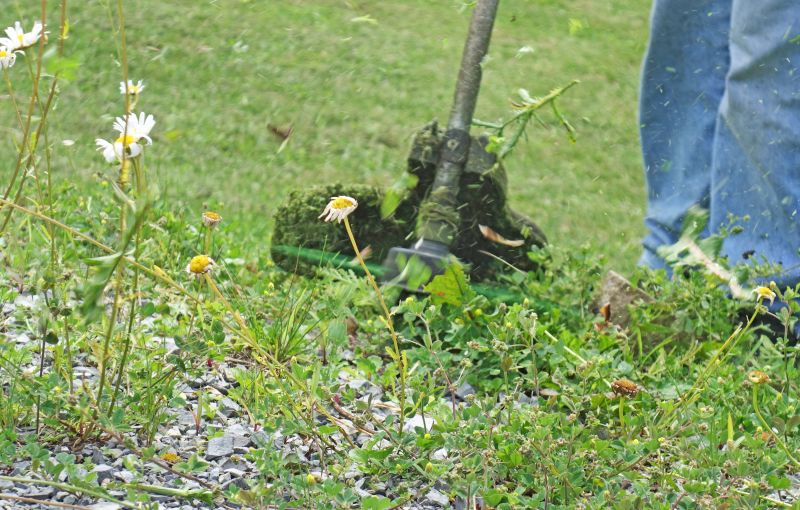 Weed Whacking