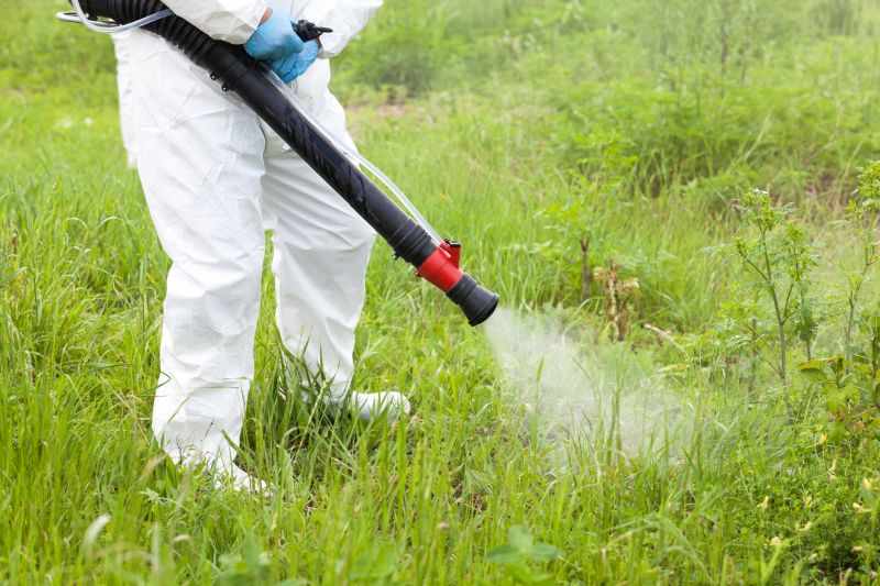 Weed Whacking