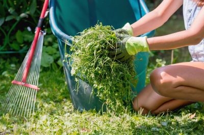 Weekly Lawn Care