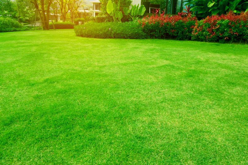 Weekly Lawn Care