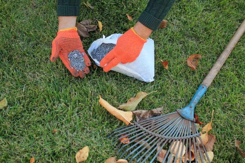 Weekly Lawn Care