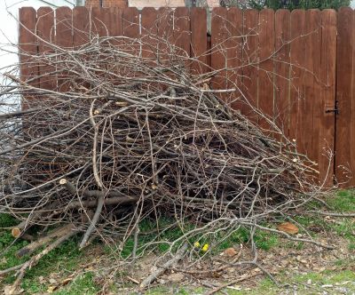 Wood Pile Removal in Honolulu, HI