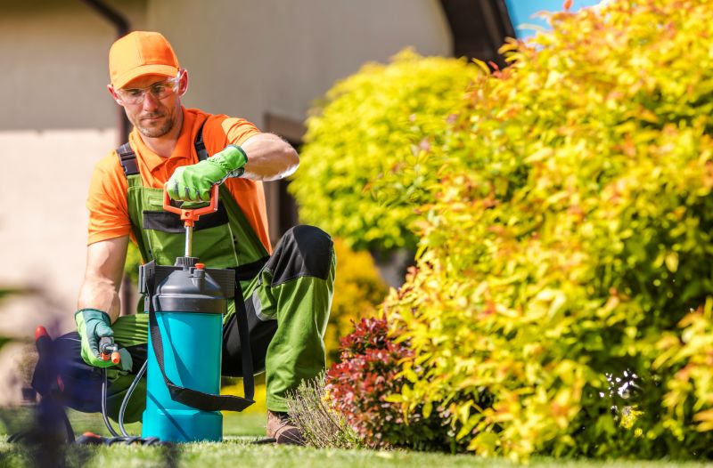 Yard Improvement Service in Honolulu, HI