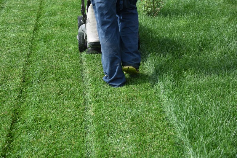Yard Mowing