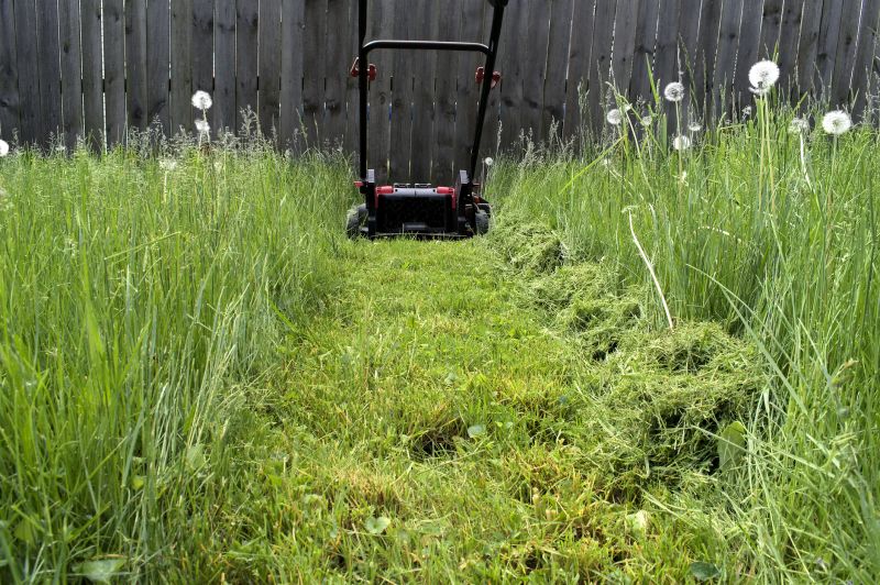 Yard Mowing
